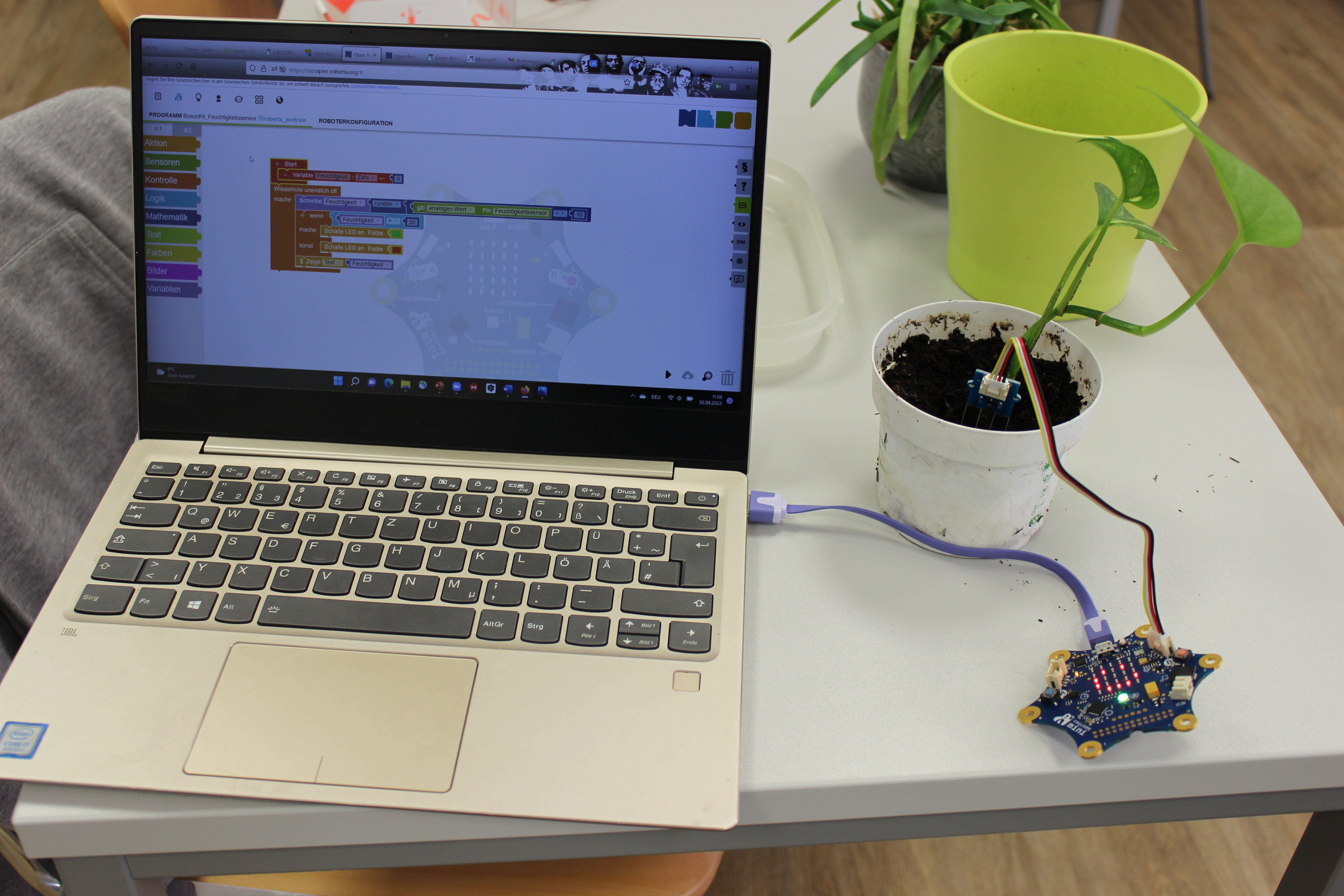 Das Bild zeigt einen Laptop, der mit einem Calliope mini Roboter verbunden ist. Auf dem Bildschirm ist ein Programm im Open Roberta Lab zu sehen. Vom Calliope mini aus führt ein weiteres Kabel zu einem Feuchtigkeitssensor, der in der Erde einer Topfpflanze steckt.